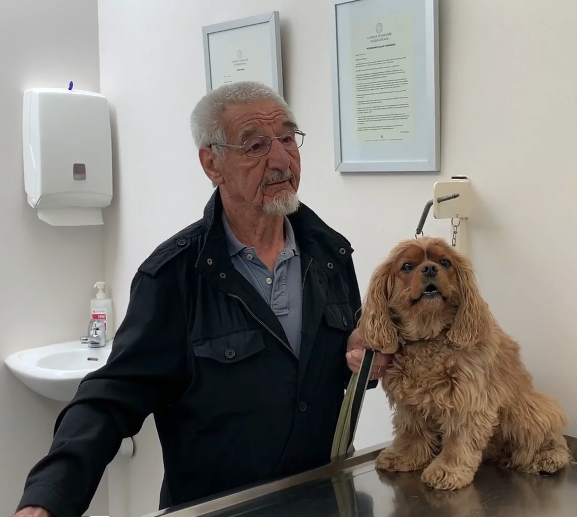 Nyon Animal Hospital, Animal Hospital Nyon, Cabinet Vétérinaire International, Nyon Veterinarian, veterinarian Nyon, Nyon Animal Hospitals, Animal Hospitals Nyon
